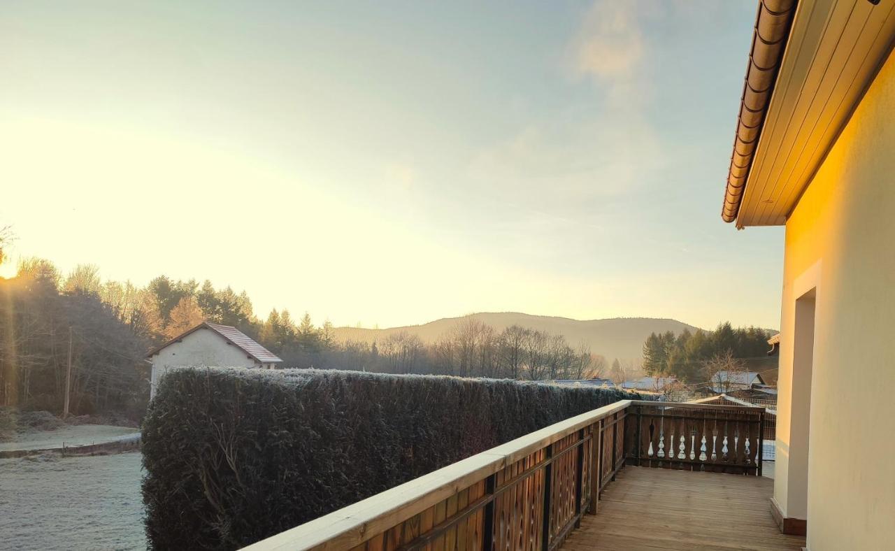 L'Ecrin De Xattys - Gite De Standing-Spa-Terrain De Petanque-Piscine-Switch-Baby-Foot Au Coeur Du Massif Vosgien Cleurie Exterior photo